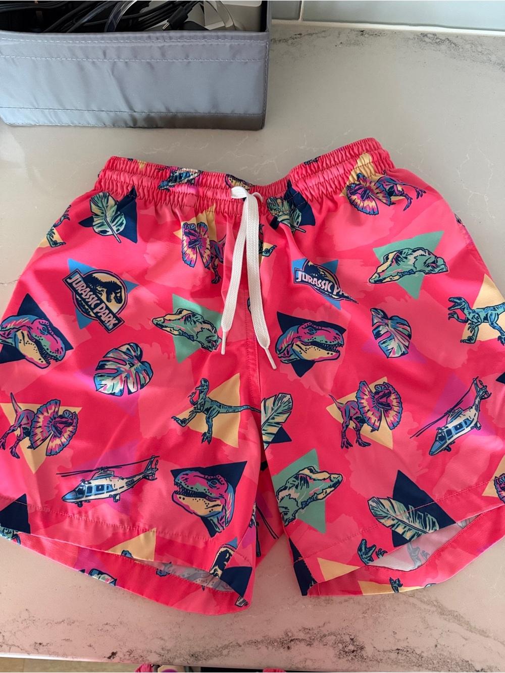 Chubbies Special Edition Jurassic World Swim Trunks
